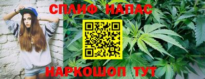 спиды Ливны