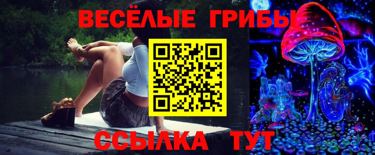 Галлюциногенные грибы GOLDEN TEACHER Ишимбай