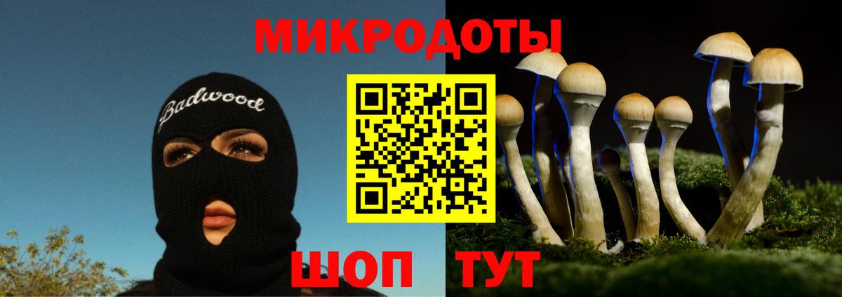 Псилоцибиновые грибы Magic Shrooms  Вход с VPN  Ишимбай 